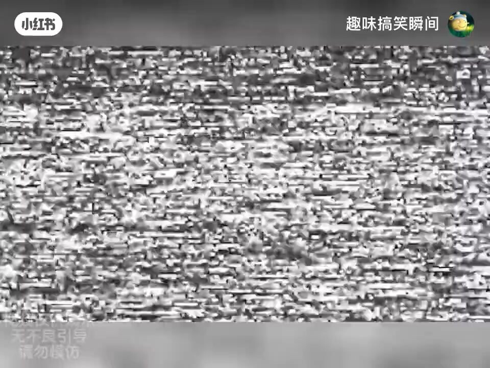 老公做的創意晚餐