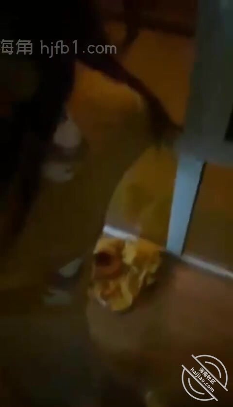 影片來了媳婦在裡屋睡覺大姨子凌晨爬窗出來在一樓陽臺對著大馬路被我爆操