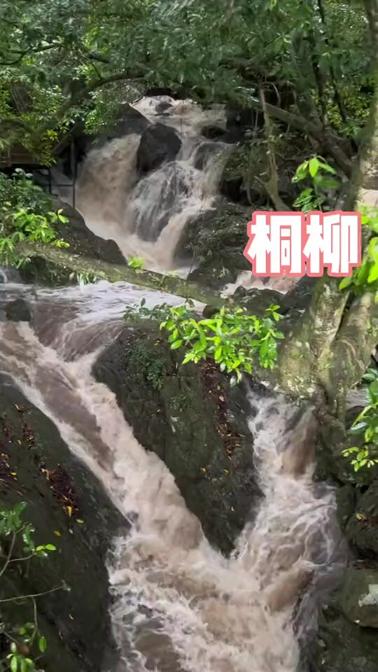 【彤曉桐柳】推特白富美，炸裂身材反差婊福利檢視，與炮友玩一路幹一路 (10)