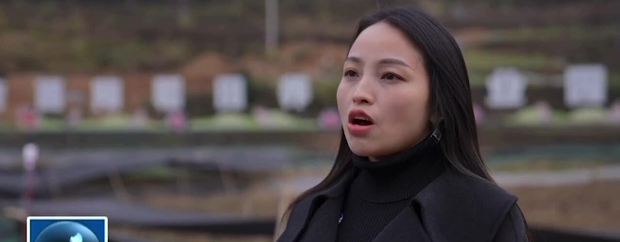 重慶酉陽政協委員 左彩琴 權色交易曝光！靠床上功夫獲職政協委員 最騷八零後E奶少婦性愛影片曝光！ (1)