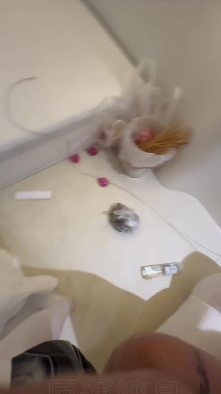 『dogking』專操極品嫩妹大神約炮合法嫩妹，奶油肌膚純欲系美少女，清純靚麗的外表下有一顆淫蕩的心 下 (5)