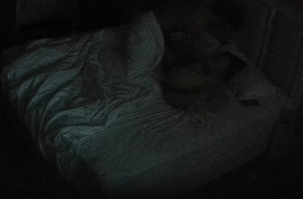 七月最新安防酒店偷拍️久別的大學生情侶相聚女友洗白白任由我擺佈我趁著晨勃狠狠補一發