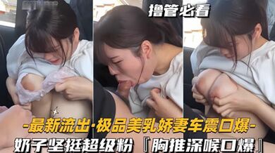 最新流出極品美乳嬌妻車震口爆奶子堅挺超級粉胸推深喉