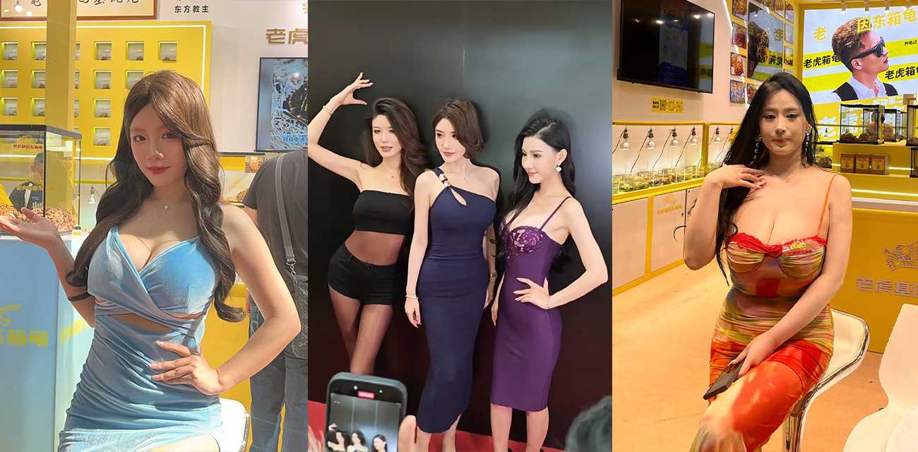 廣東順德 世界名龜展 翻車 請爆乳網紅站臺搞擦邊 短裙配開檔黑絲玩露出 讓烏龜爬酥胸 勾得觀眾龜頭亂撞！