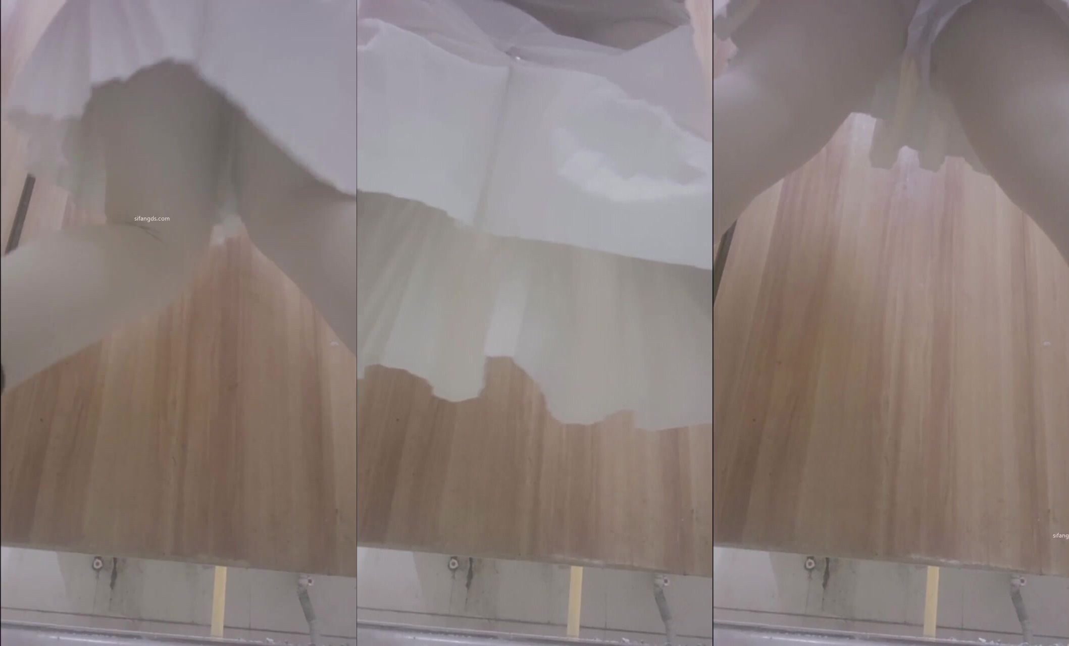 私房大神極品收藏商場女廁全景後拍系列幾個顏值氣質美女 (3)