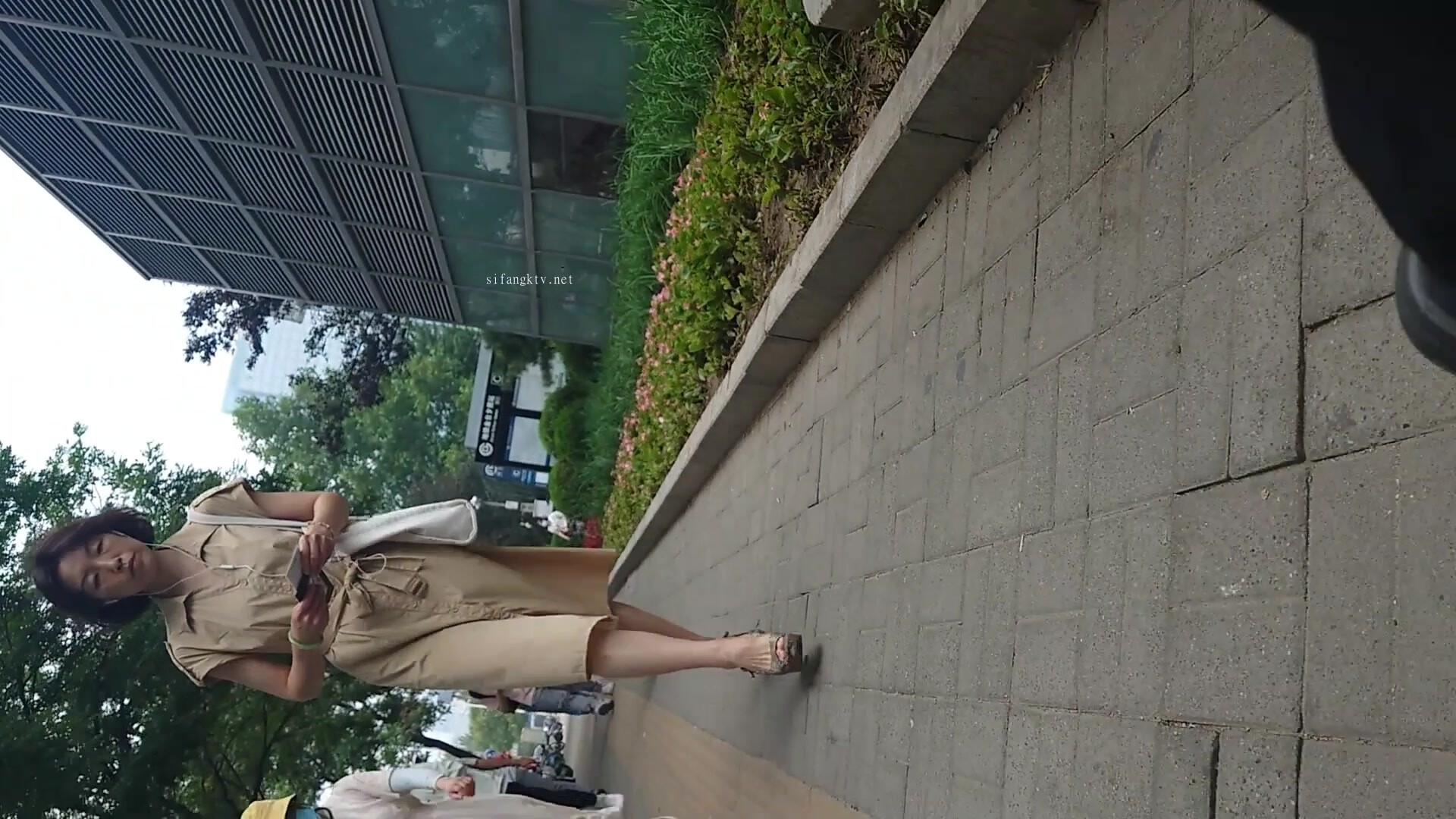 魔手CD【氣質女神】ZY電視臺的美女靚妹們（第五套） (8)