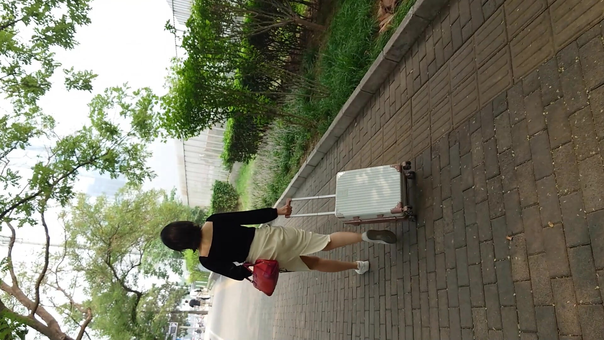 魔手CD【氣質女神】ZY電視臺的美女靚妹們（第五套） (2)