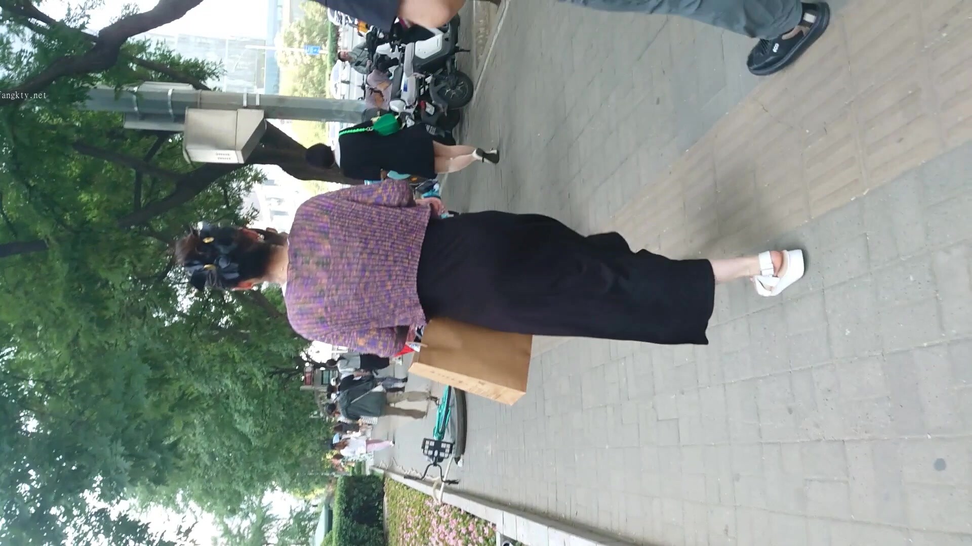 魔手CD【氣質女神】ZY電視臺的美女靚妹們（第五套） (7)