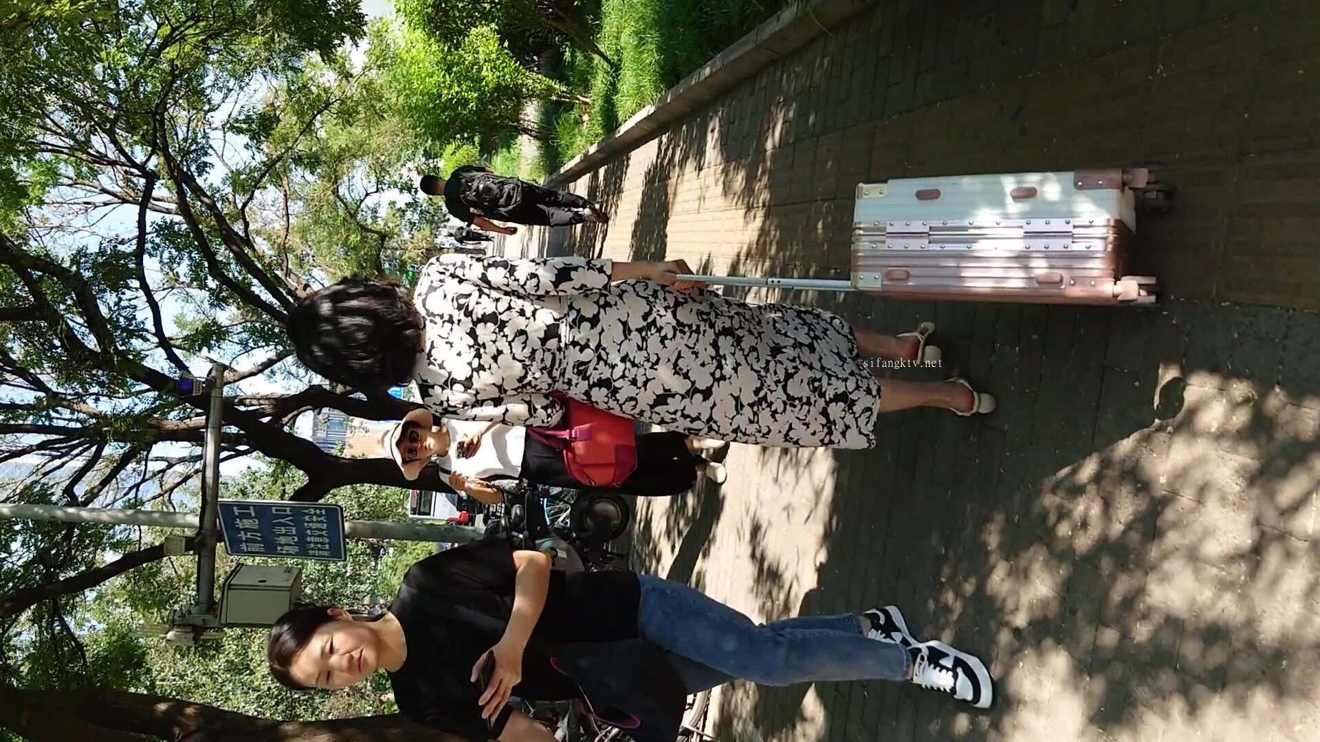 魔手CD【氣質女神】ZY電視臺的美女靚妹們（第五套） (1)