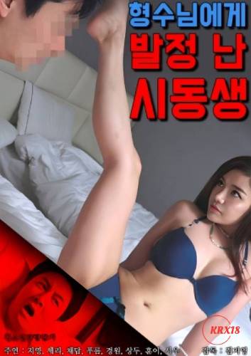 Brother in law Aroused by His Sister in law