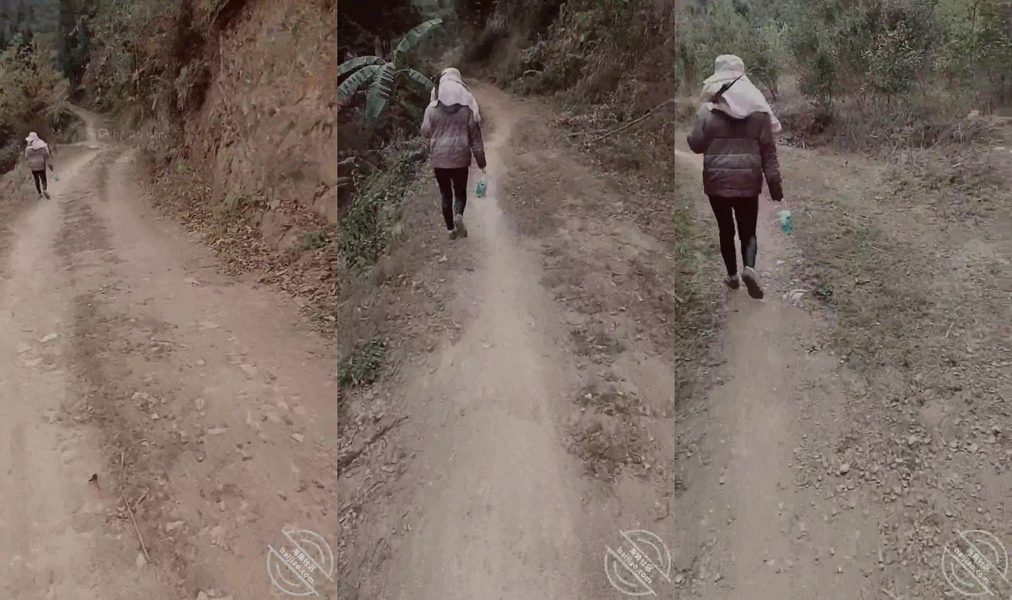 (原創)我和媽媽38，等到了和媽媽上山的第一天，激動啊