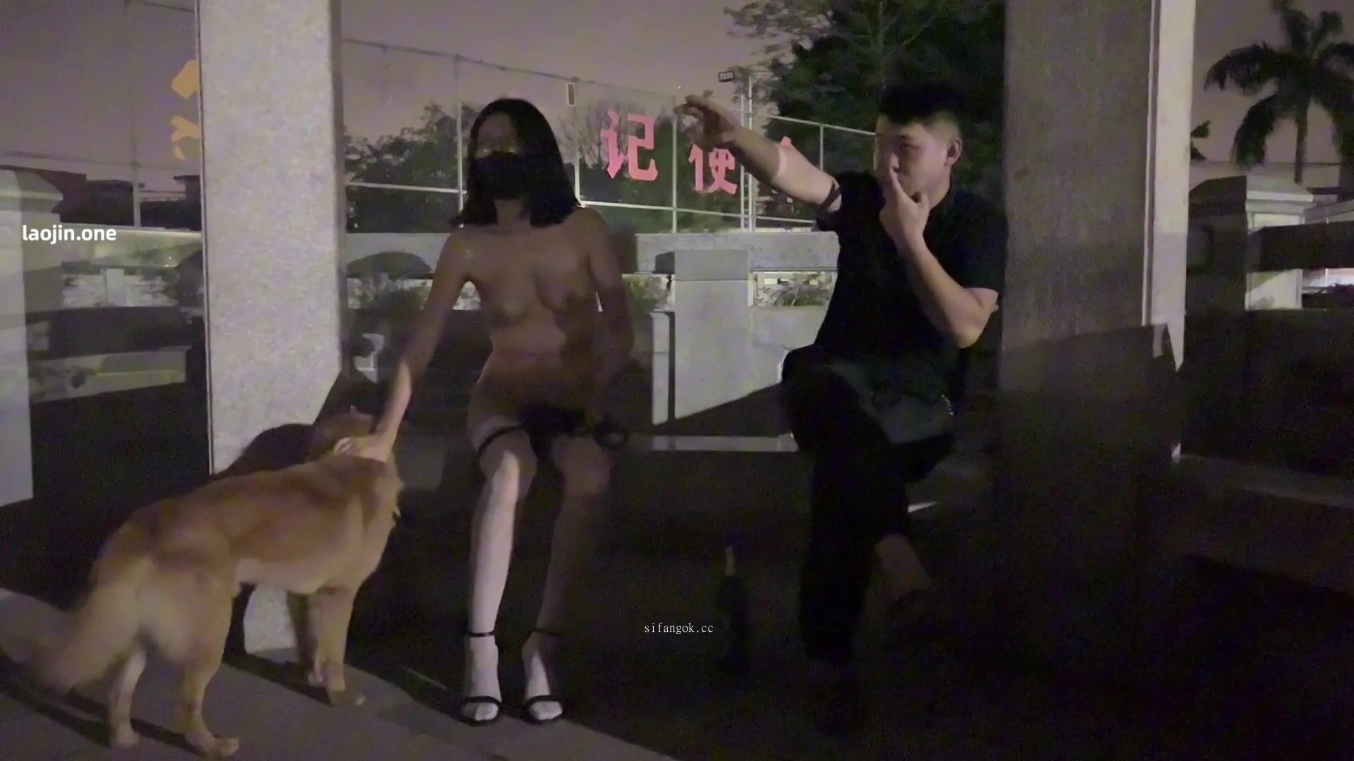 【cikaimoon】最新人氣露出女神深夜帶著狗狗出門，大街上脫光光，搭訕閒聊路人，屌炸了真膽大