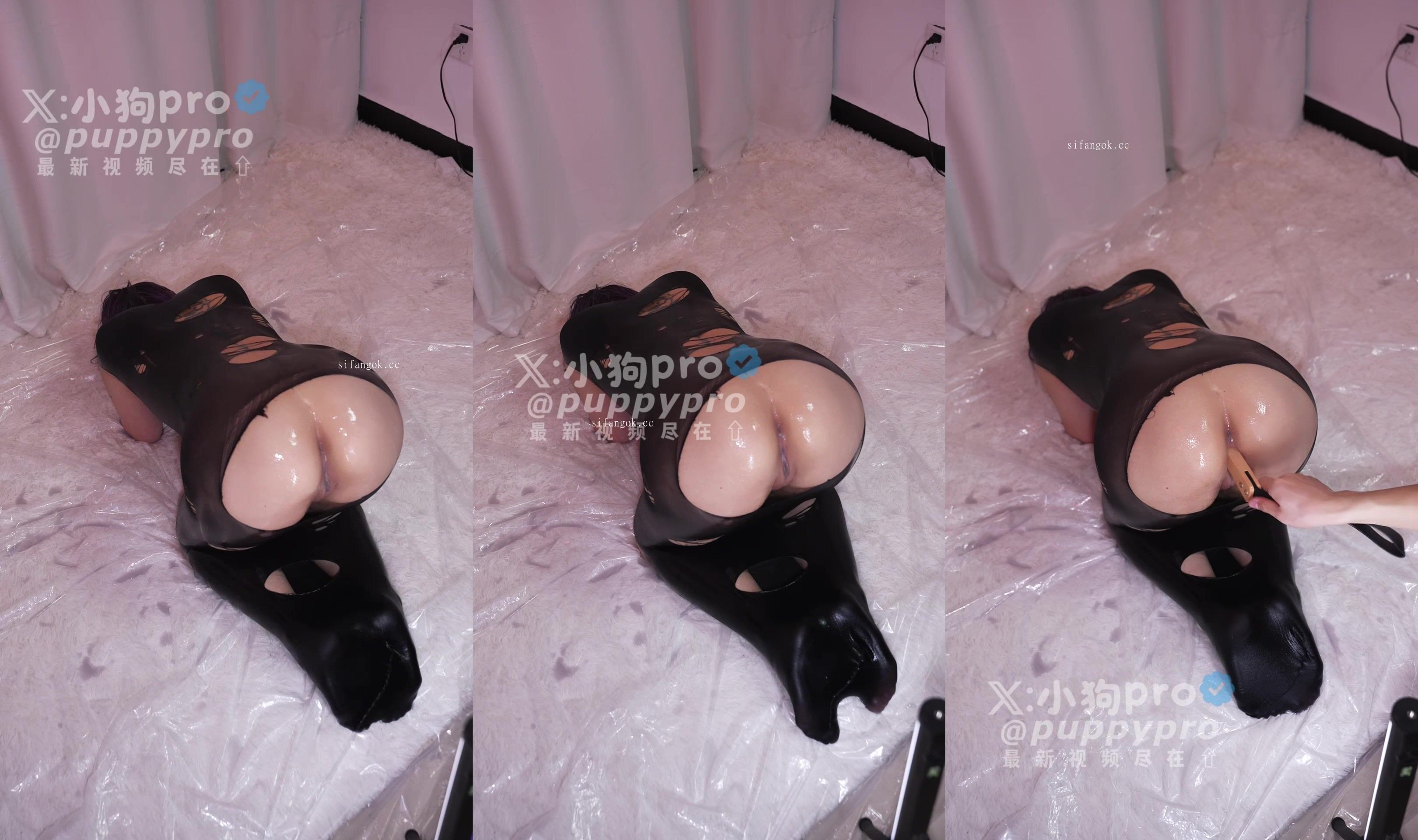 【小狗PRO】玩逼最高境界，花式硬核調教，大奶顏值嫩妹最新作品，很黃很暴力 (1)