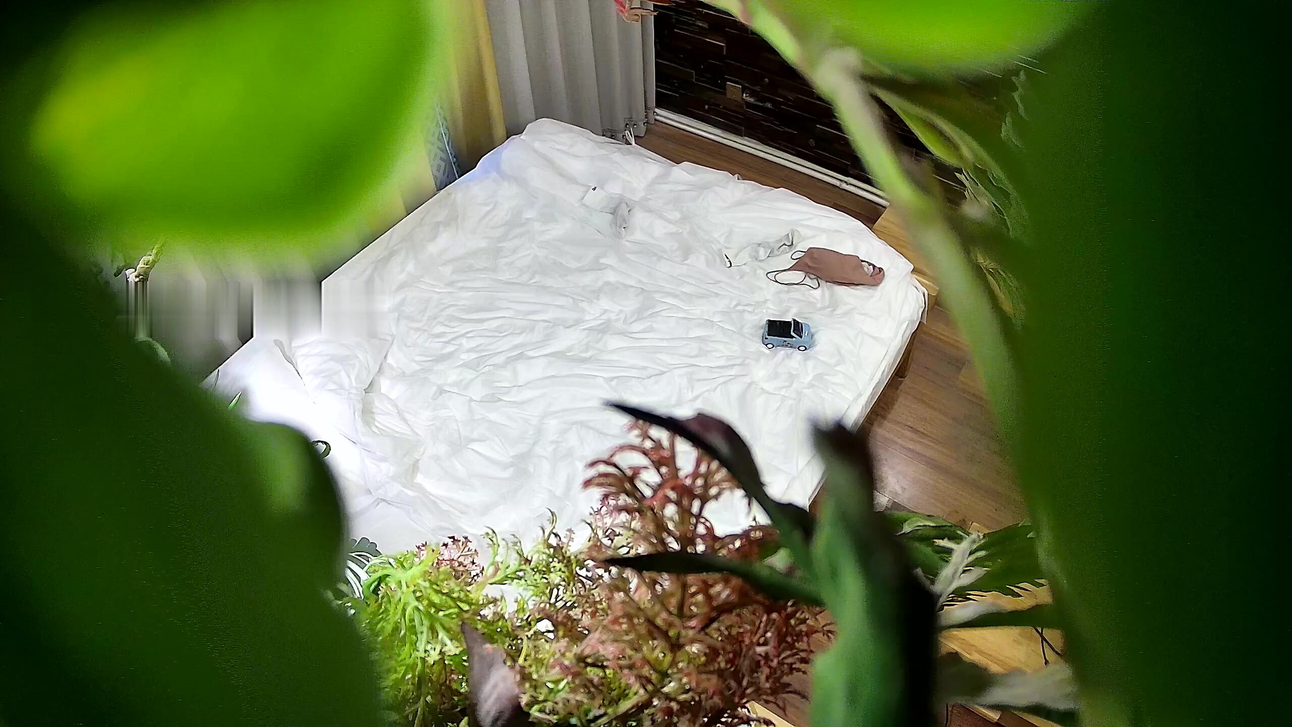 最新流出酒店近景高畫質偷拍極品大學情侶 愛笑的美女還喜歡舔男友大屌