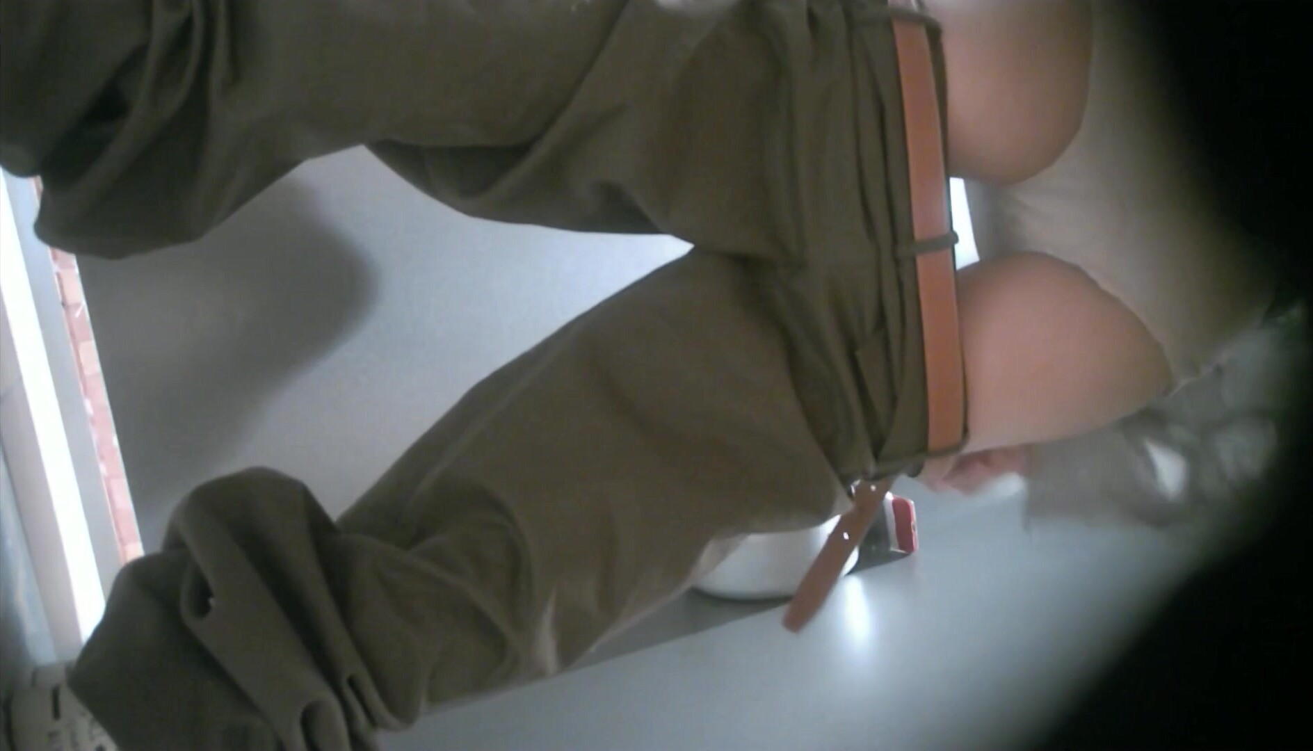二月新流出魔手外購商場女廁高畫質後拍帶狗逛街美女人美性感蜜桃臀逼