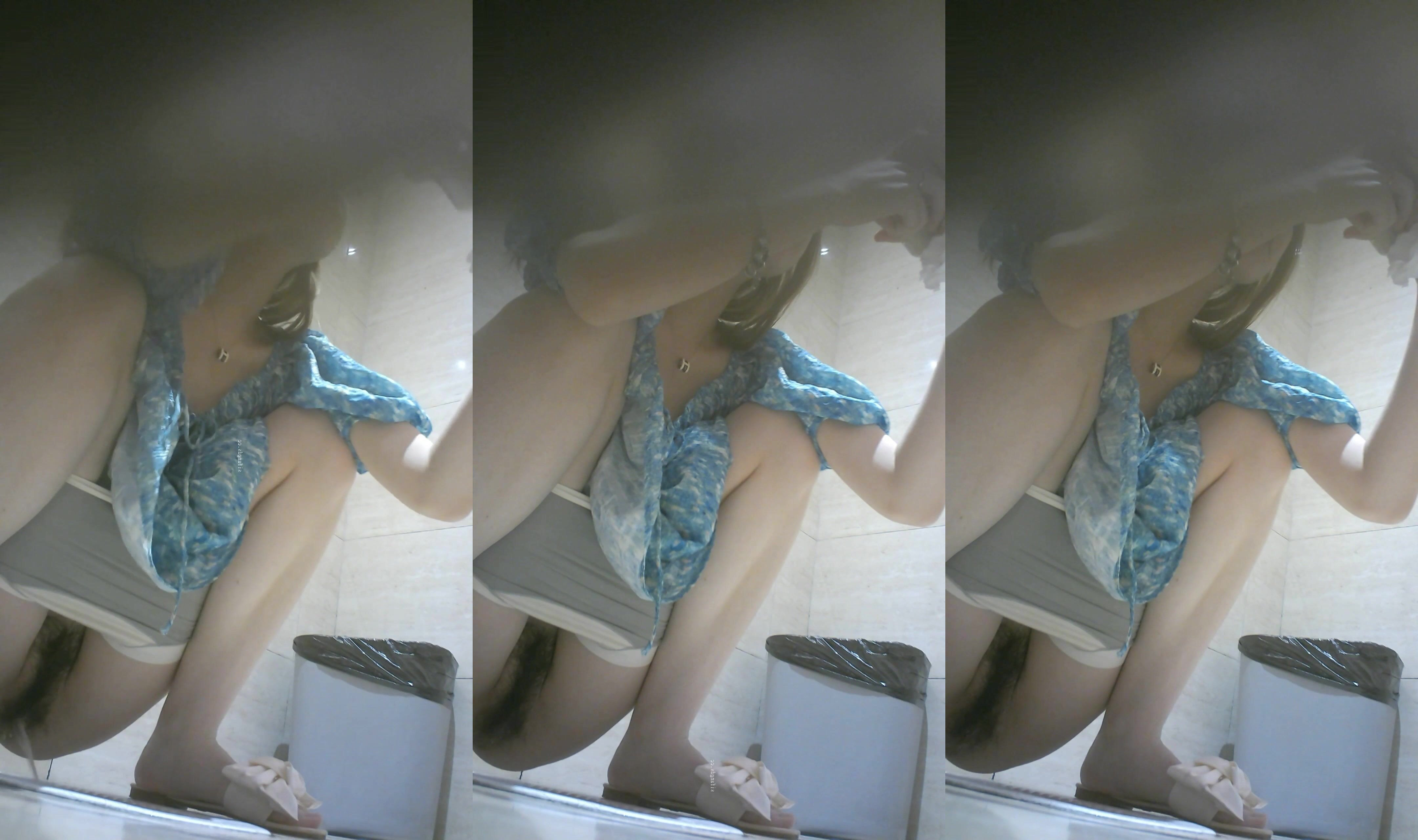 商場女廁全景偷拍花裙少婦的多毛小黑鮑