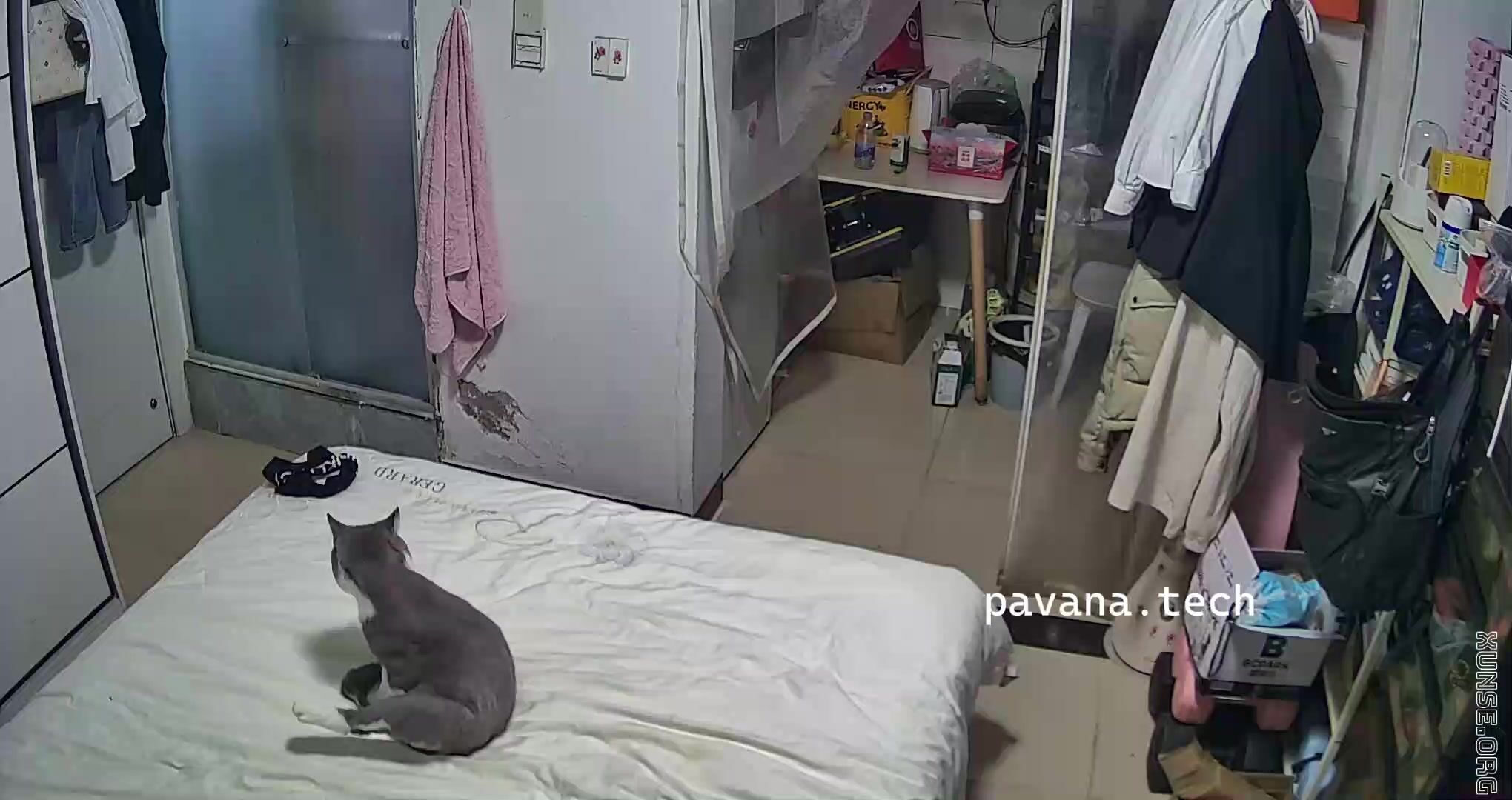 家庭臺偷拍 小夫妻的生活日常 平常回來小少婦就穿個內褲晃著奶子走動做事 兩人興起了就打一炮 (3)