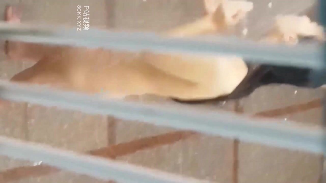七月流出電子廠保安利用職務之便窗外上夜班的女工洗澡離他最近這妹子明星氣質顏值